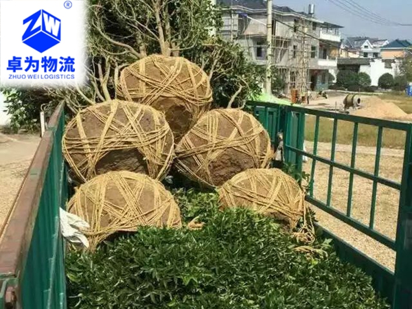 樹(shù)苗，樹(shù)木運輸案例